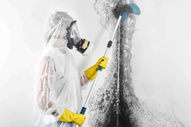 Best Post-Construction Mold Inspection  in Tuntutuli, AK