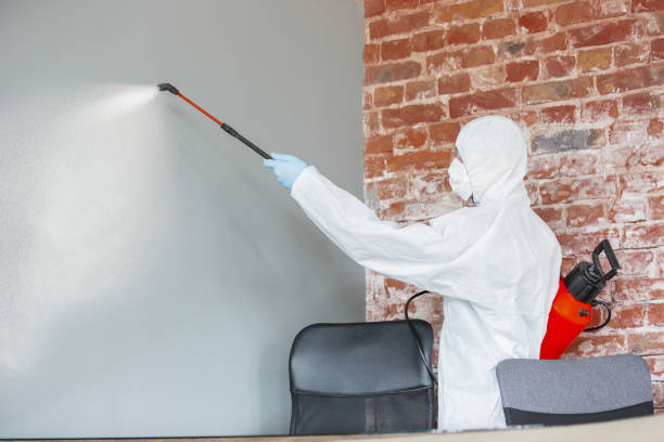 Best Mold Remediation for Healthcare Facilities  in Tuntutuli, AK