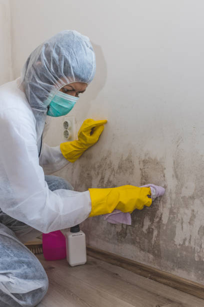 Best Water Damage & Mold Remediation  in Tuntutuli, AK