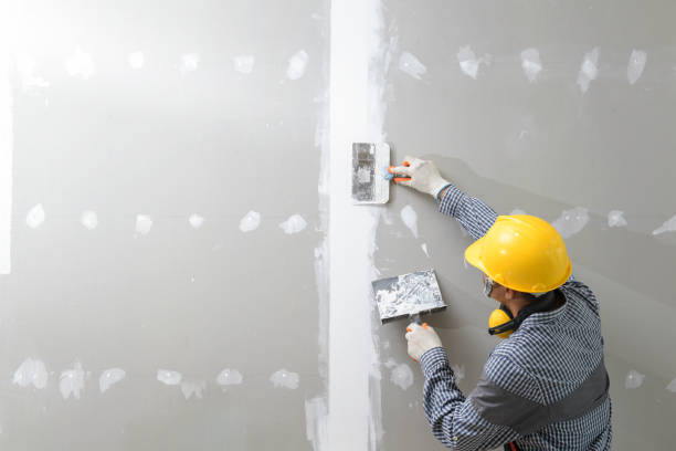 Best Industrial Mold Remediation  in Tuntutuli, AK