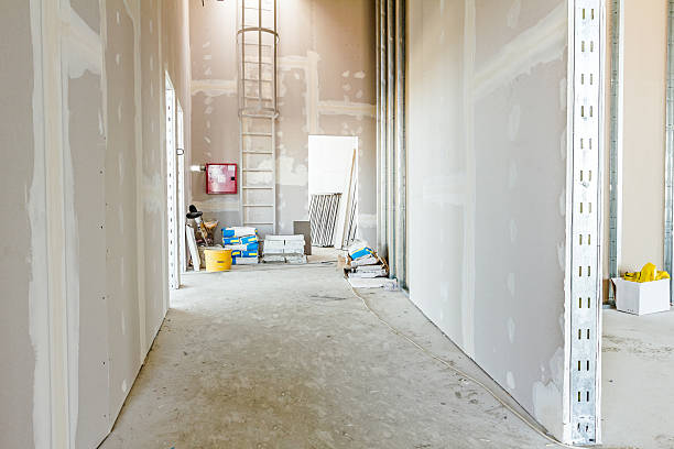Best Asbestos and Lead Testing During Mold Inspection  in Tuntutuli, AK